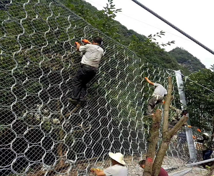 1620272442736460.jpg 1115248132161540.jpg